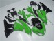 Grün Schwarz Kawasaki ZX6R 2009-2012 Vollverkleidung