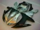 Silber Yamaha R1 2002-2003 Verkleidung